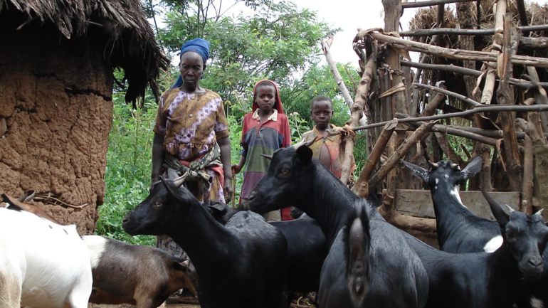 RAKAI LIVESTOCK PROJECT (funded by Evangelical Lutheran Church in America (ELCA)